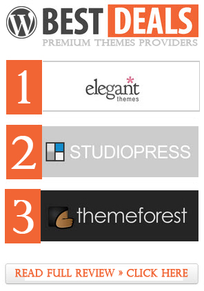 wordpress themes providers
